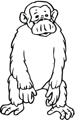 Sad Chimpanzee  Coloring Page